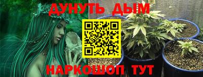mdma Новозыбков